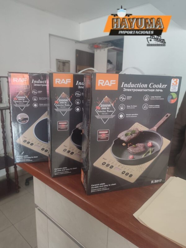 WhatsApp Image 2026-04-03 at 10.41.04 AM (4)